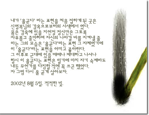 올곧다